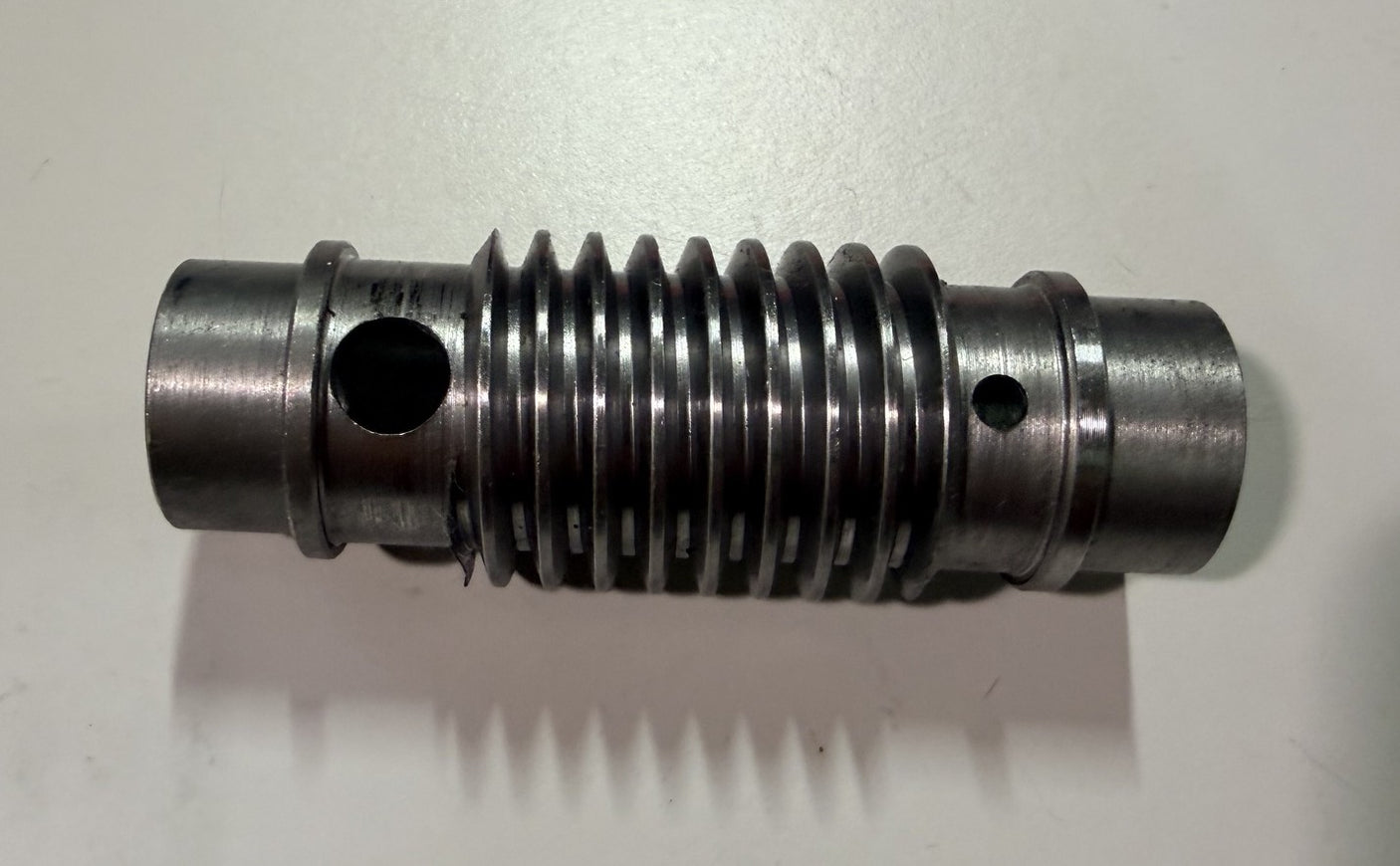 G09005 WORM